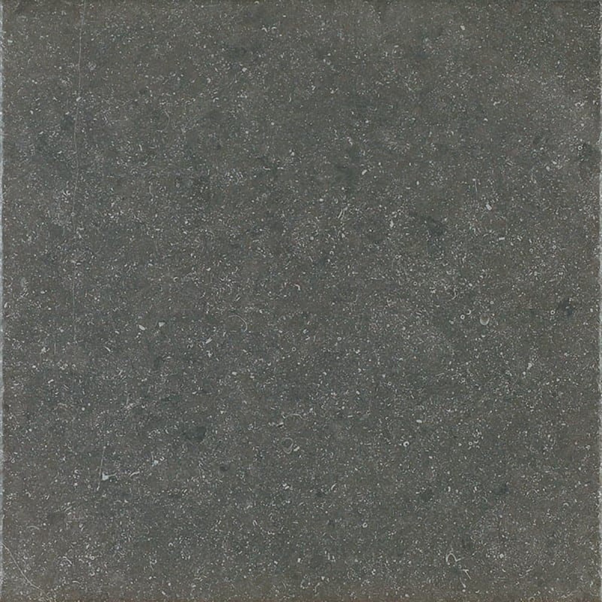 Dlažba Del Conca Blue Quarry grey 60x60 cm protiskluz S9BQ08R Del Conca