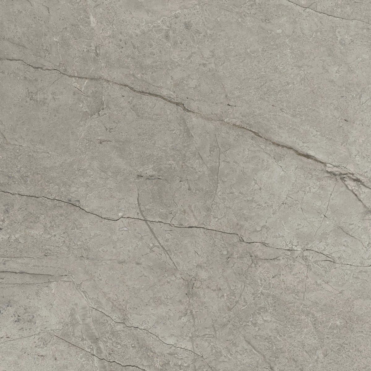 Dlažba Del Conca Boutique silver 60x60 cm mat G9BO15R Del Conca