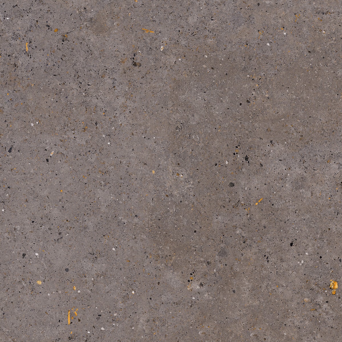 Dlažba Pastorelli Biophilic dark grey 120x120 cm mat P009412 Pastorelli