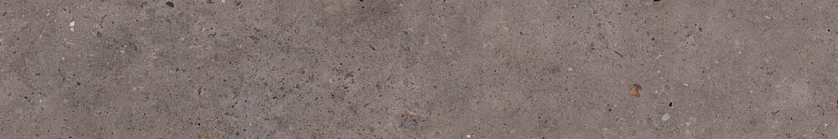 Dlažba Pastorelli Biophilic dark grey 20x120 cm mat P009527 Pastorelli