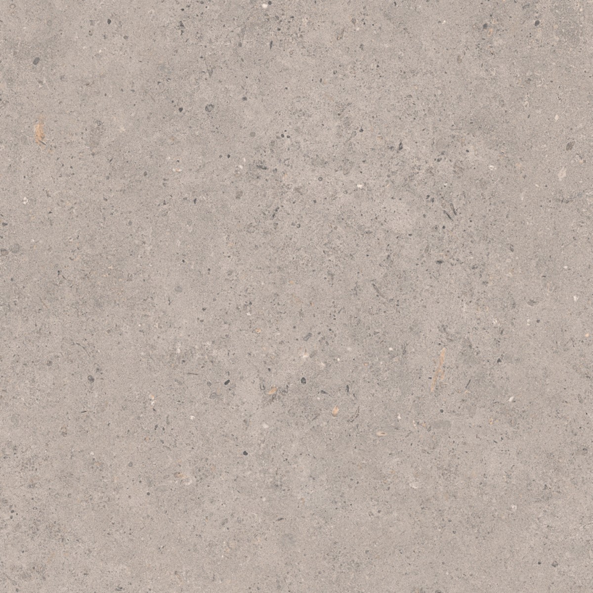 Dlažba Pastorelli Biophilic grey 60x60 cm mat P009496 Pastorelli