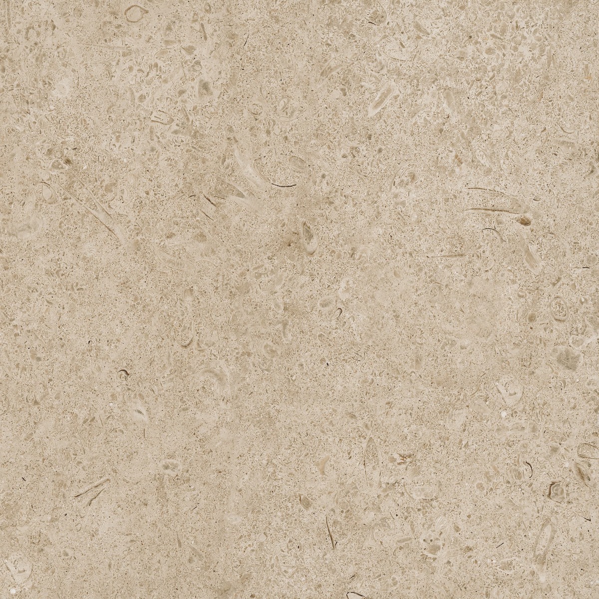 Dlažba Ragno Eterna greige strutturato 60x60 cm mat ETR8KL Ragno