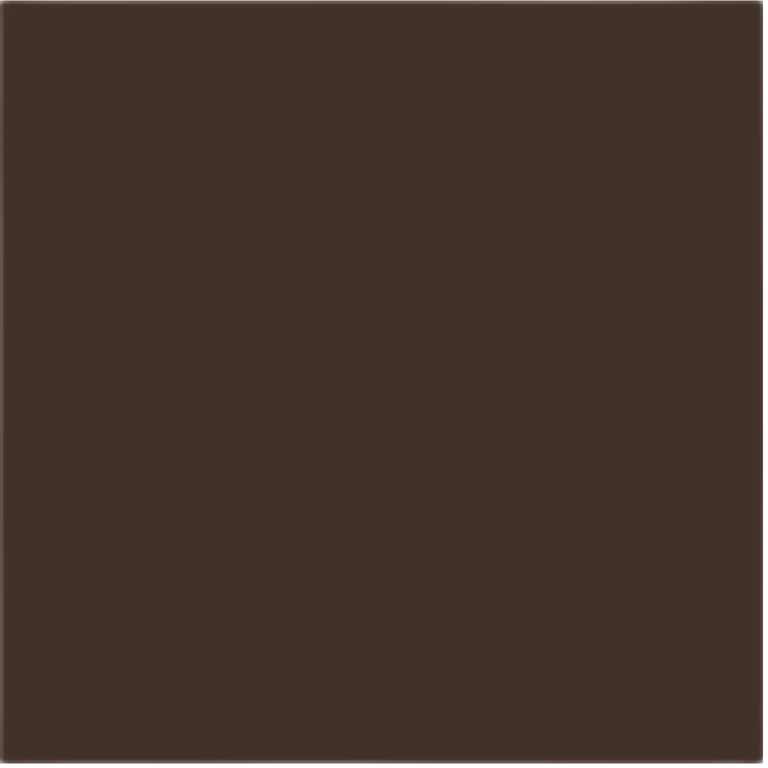 Obklad Rako Color One tmavě hnědá 20x20 cm lesk WAA1N671.1 Rako