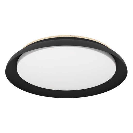 LED Stropní osvětlení Eglo PENJAMO 1 černá 900857 Eglo