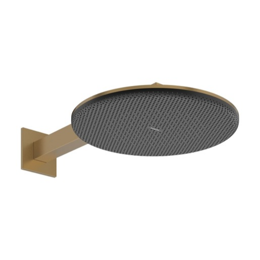 Hansgrohe Raindance Alive S hlavová sprcha na stěnu včetně sprchového ramena kartáčovaný bronz 24 540 140 Hansgrohe