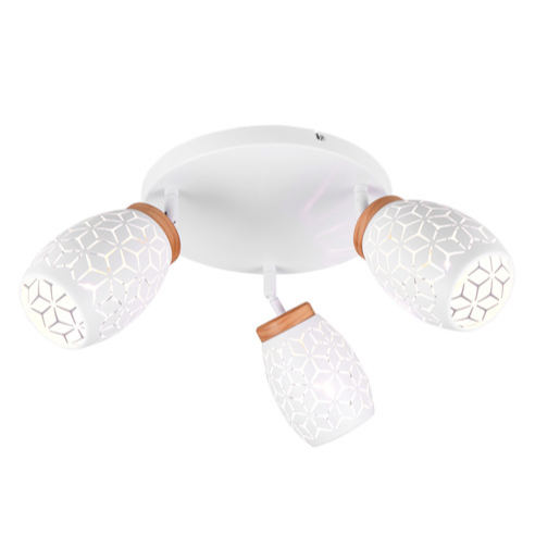 Reality Bidar stropní světlo bílá r61573331 RER61573331 Reality