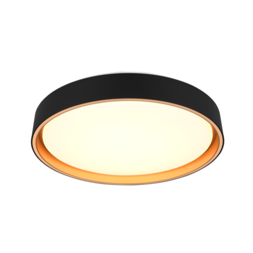 Reality Felis stropní světlo černá r64391080 RER64391080 Reality