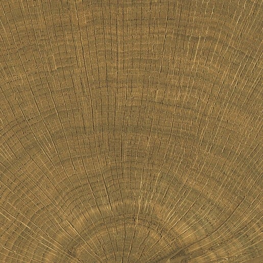 Dlažba Emil W-Circles walnut 10x10 cm mat 00ENJE68 Emil