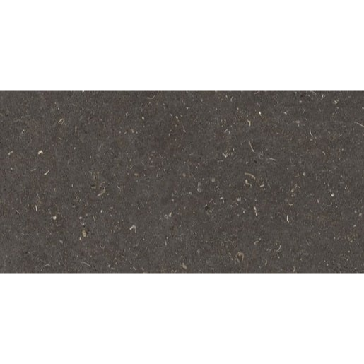 Dlažba Geotiles Vincen anthracite 30x60 cm mat VINCEN36AN Geotiles